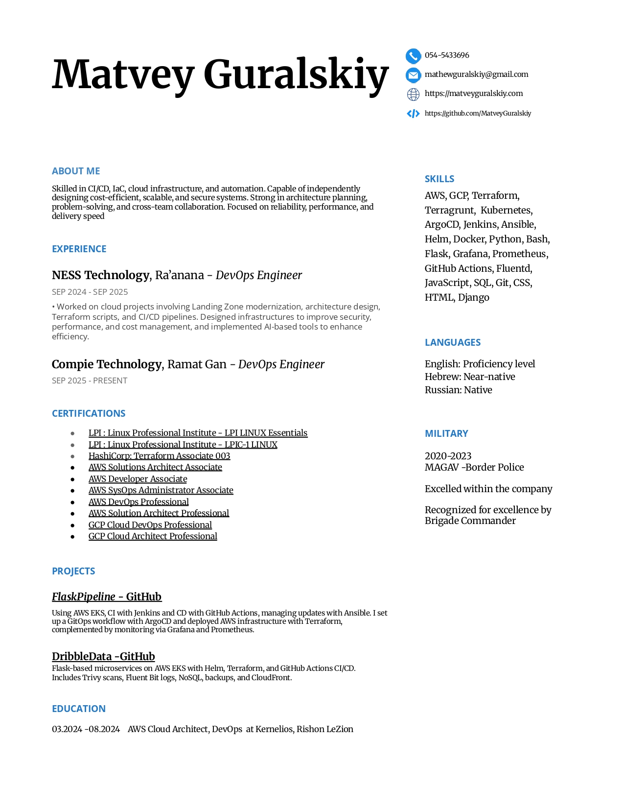English Resume Preview